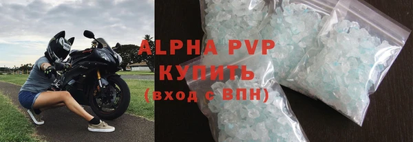 стаф Белокуриха