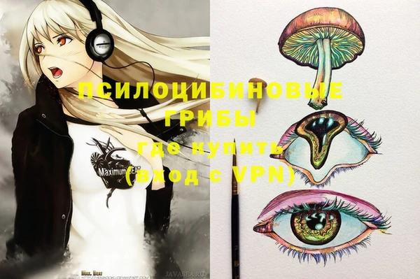 стаф Белокуриха