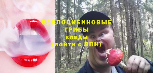 стаф Белокуриха