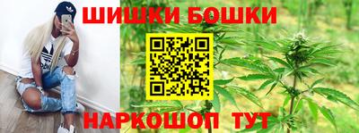 стаф Будённовск