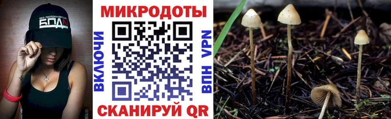 продажа наркотиков  Видное  Псилоцибиновые грибы Magic Shrooms 
