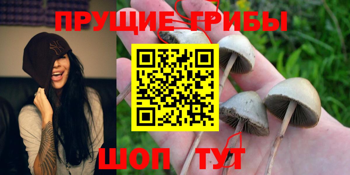 Псилоцибиновые грибы MAGIC MUSHROOMS  Галлюциногенные грибы прущие грибы  Видное  Вход с VPN 